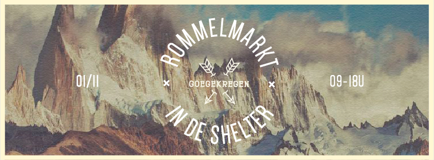 01/11 FLEA MARKET AT THE SHELTER, PARK TRACK NORTH