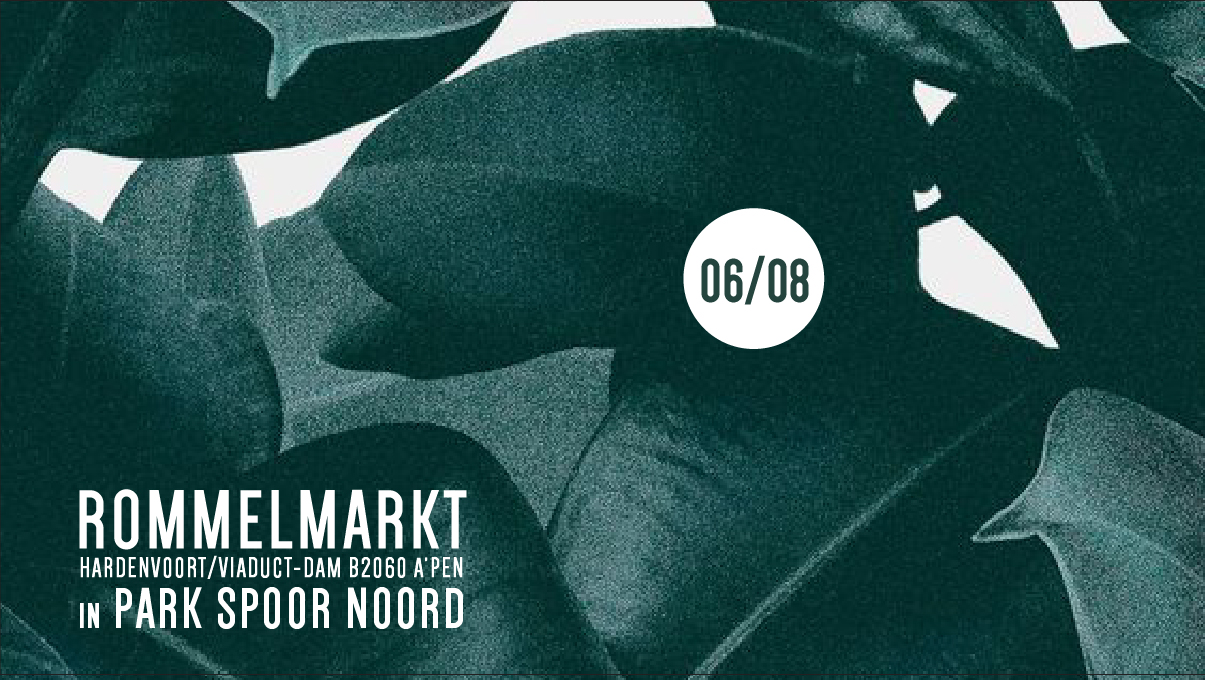 06/08 FLEA MARKET IN THE PARK